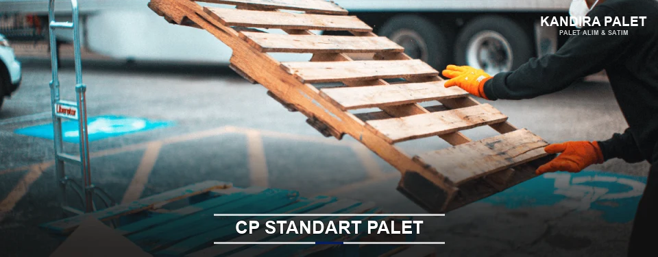 Kandıra CP Palet Çözümleri