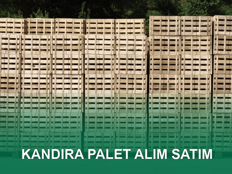 Kandıra Palet Galeri 3